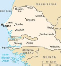 Sénégal :  Les artistes handicapés s’expriment au Sénégal.  Rendez-vous international. Sénégal :  Les artistes handicapés s’expriment au Sénégal.  Rendez-vous international.