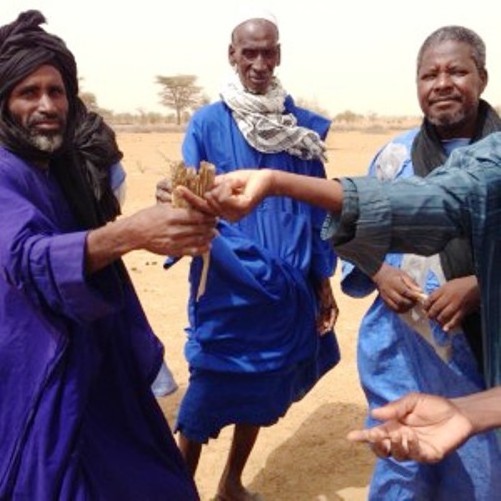 VISITE DES DEPUTES DE L’AJD/MR DANS LA LOCALITE DE DAR EL BARKA [PHOTOS]