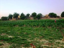 Garlol/M’Bagne : Les expropriés somment l’occupant de quitter immédiatement et sans conditions leur terres Garlol/M’Bagne : Les expropriés somment l’occupant de quitter immédiatement et sans conditions leur terres