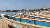 Sénégal : plusieurs cadavres en état de décomposition avancé retrouvés dans une pirogue au large de Dakar Sénégal : plusieurs cadavres en état de décomposition avancé retrouvés dans une pirogue au large de Dakar