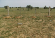 La Mauritanie, un pays en jachère La Mauritanie, un pays en jachère