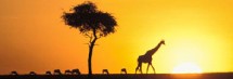 Vers un carton rouge pour les grands pollueurs en Afrique Vers un carton rouge pour les grands pollueurs en Afrique