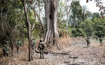 Au Sénégal, un militaire blessé et un autre porté disparu lors d’une opération en Casamance