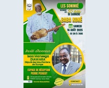 Faut-il rappeler à notre cher député Issa DIAWARA de ses missions régaliennes auprès de la diaspora ? Faut-il rappeler à notre cher député Issa DIAWARA de ses missions régaliennes auprès de la diaspora ?