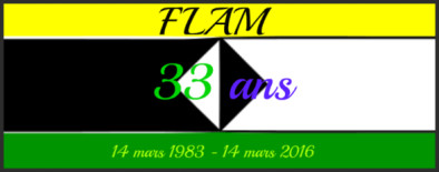 Journée anniversaire Flam, le 13 mars 2016 à Montreuil .