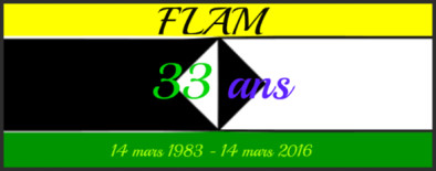 Journée anniversaire Flam, le 13 mars 2016 à Montreuil . Journée anniversaire Flam, le 13 mars 2016 à Montreuil .