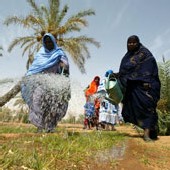 Mauritanie. Souffrir pour être belle et grosse Mauritanie. Souffrir pour être belle et grosse