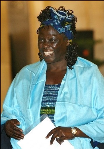 La prix Nobel Wangari Maathai se retire du relais de la flamme en Tanzanie La prix Nobel Wangari Maathai se retire du relais de la flamme en Tanzanie