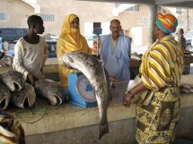 La Mauritanie annonce un plan d’urgence face à la hausse du coût de la vie La Mauritanie annonce un plan d’urgence face à la hausse du coût de la vie