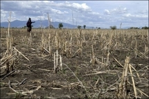 Experts et ministres africains ont entamé lundi à Nairobi une semaine de discussions pour tenter de trouver des solutions à la crise alimentaire qui frappe le continent le plus pauvre de la planète en raison de la flambée des prix de l'énergie et ... Experts et ministres africains ont entamé lundi à Nairobi une semaine de discussions pour tenter de trouver des solutions à la crise alimentaire qui frappe le continent le plus pauvre de la planète en raison de la flambée des prix de l'énergie et ...