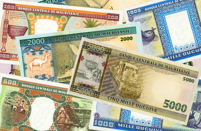 Mauritanie: vers une forte dévaluation de l’ouguiya Mauritanie: vers une forte dévaluation de l’ouguiya