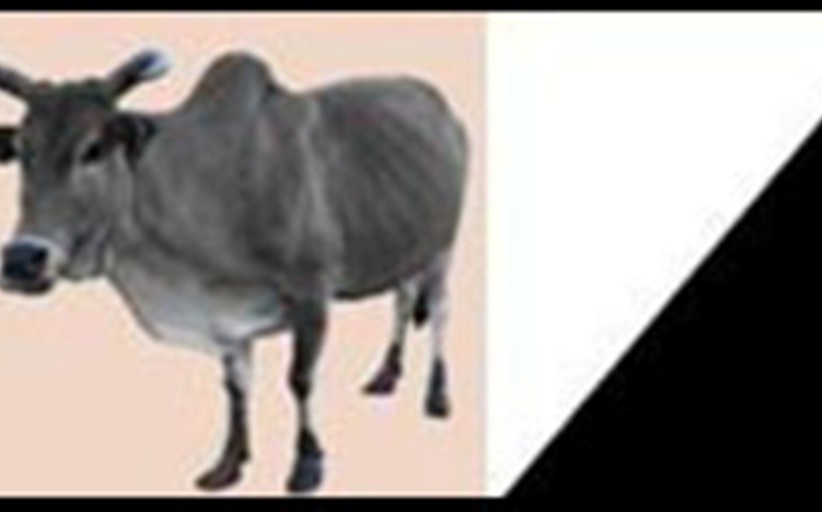 AJD/MR : DECLARATION AJD/MR : DECLARATION