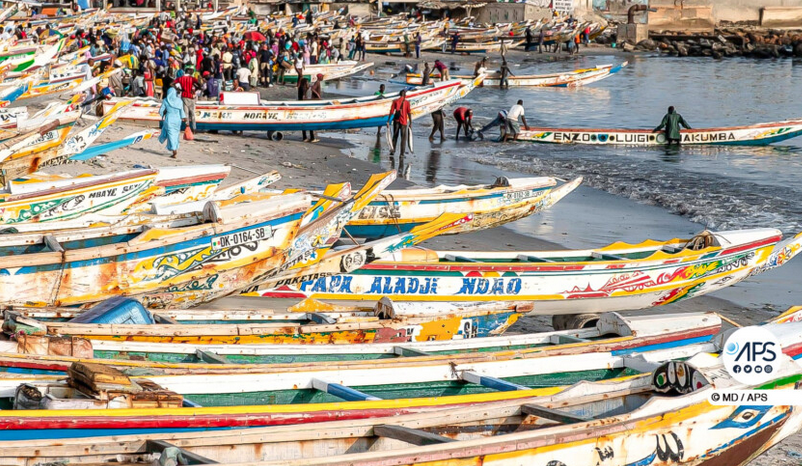 Sénégal - Les marchés de Dakar se vident de leur monde en raison du Magal
