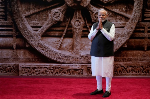 L'Afrique rejoint le club des grandes économies du G20, une victoire pour Modi L'Afrique rejoint le club des grandes économies du G20, une victoire pour Modi