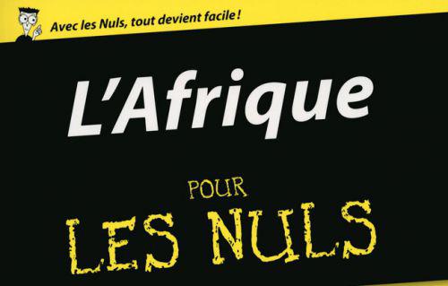 Vient de paraître: le livre « L’Afrique pour les nuls » veut en finir avec les préjugés sur l’Afrique Vient de paraître: le livre « L’Afrique pour les nuls » veut en finir avec les préjugés sur l’Afrique