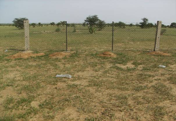 La Mauritanie, un pays en jachère La Mauritanie, un pays en jachère