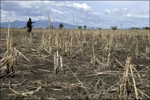 Experts et ministres africains ont entamé lundi à Nairobi une semaine de discussions pour tenter de trouver des solutions à la crise alimentaire qui frappe le continent le plus pauvre de la planète en raison de la flambée des prix de l'énergie et ...