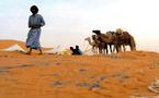 Point Afrique renonce à son vol mauritanien