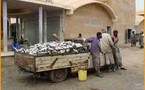 Afrique de l'ouest: le réchauffement climatique menace la pêche