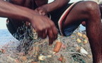 Mauritanie : Balançoire entre Trahison, mensonges et larmes