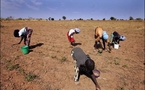 L'argent des immigrés se fait rare dans les campagnes du Sénégal