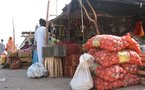 La Mauritanie et le Sénégal plus exposés à la hausse des prix