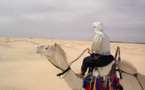 Fatigué de vouloir être arabe !