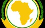Mauritanie et Guinée à l'écart de l'Union africaine