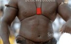 Sénégal/Lutte - Yékini triomphe de Gris Bordeaux et consolide sa suprématie (reportage photos)