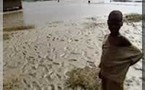 Inondations de Tounguene – Rosso : Les responsabilités