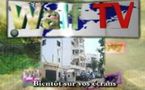 Sevrés de leur chaine de télévision préférée : Les ressortissants sénégalais en Mauritanie réclament le retour de Walf Tv