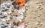 Nouadhibou : Destruction de deux tonnes de drogues