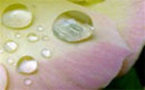Lancement d’une opération de pluies artificielles en Mauritanie