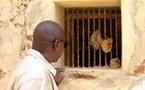 Le Sénégal veut déclarer la traite négrière crime contre l'humanité