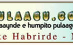 ƁATAAKE HABRIRDE PULAAGU.COM 17 SEEƊTO 2010