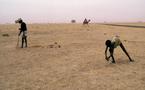 Le Sahel face à une grave crise alimentaire