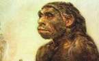 Évolution : Neandertal n'a pas fait souche au sud du Sahara