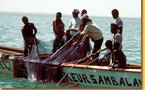 La Mauritanie veut réduire le nombre des licences de pêche accordées aux bateaux sénégalais