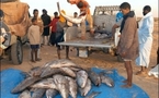 Mauritanie: la pêche industrielle reprend après 2 mois de "repos biologique"
