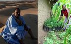 Pour stopper le désert, grande opération « plantation » en Mauritanie !