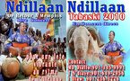 Ndillan de Retour a Memphis