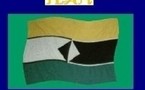 IBRAHIMA DIALLO BAABAYEL : INVITE DE L'EMISSION DE POLITIQUE AFRICAINE TAMTAM DE P.F.P. 106.3 FM
