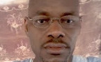 Le militantisme au sein de la Diaspora : Un bilan peu Glorieux Par Adama NGAIDE