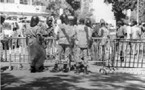MATAM/GREVE DES COMMERÇANTS : VIOLENTS HEURTS ENTRE MANIFESTANTS ET FORCES DE L’ORDRE - LA MAISON DU MAIRE DEUX FOIS INCENDIEE, DES BLESSES GRAVES