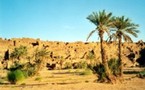 Mauritanie- CENI- Élections