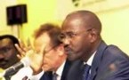 NEPAD - Les experts cherchent les solutions idoines : Au chevet d’un plan malade