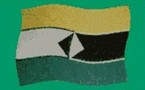 FORCES DE LIBERATION AFRICAINES DE MAURITANIE (FLAM)