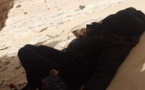 Dans le Sahara, « les policiers marocains ont lâché les chiens sur nous »
