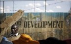 Afrique : dictatures et élections bidons!