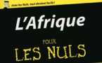 Vient de paraître: le livre « L’Afrique pour les nuls » veut en finir avec les préjugés sur l’Afrique Vient de paraître: le livre « L’Afrique pour les nuls » veut en finir avec les préjugés sur l’Afrique